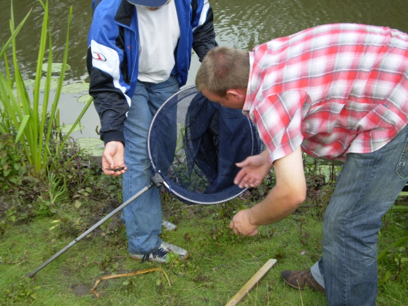 Lith 2008 (15)